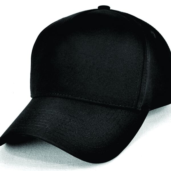 D-Lux 5 Panel Thumbnail