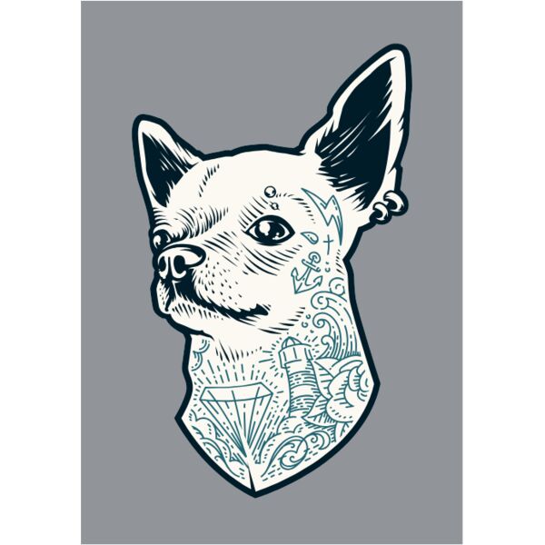 Tattooed Chihuahu Thumbnail